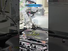 Linea di assemblaggio del pannello della porta dell'auto:pressione di strisce di spugna → saldatura con rivetto a caldo → serraggio della vite